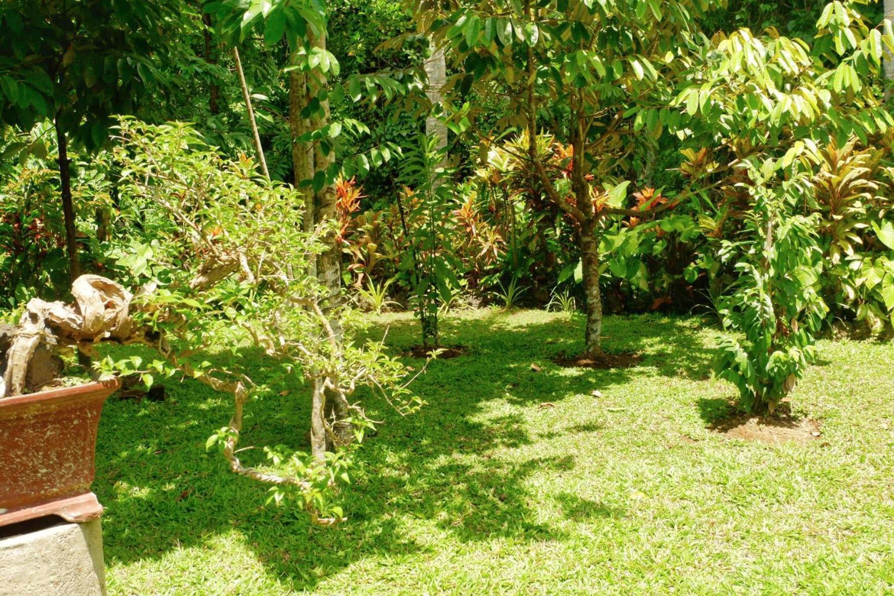 Artja Inn Ubud Экстерьер фото